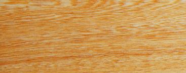 黃雞翅(學名：黃蘋婆）