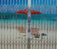 供應錦鵬不銹鋼彎密欖拉閘門