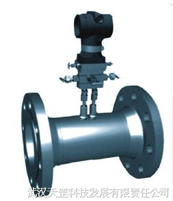 WTG-OPT O型流量計