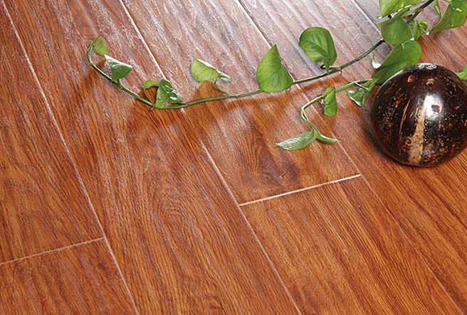 圣羅娜太空映像系列-WF3001