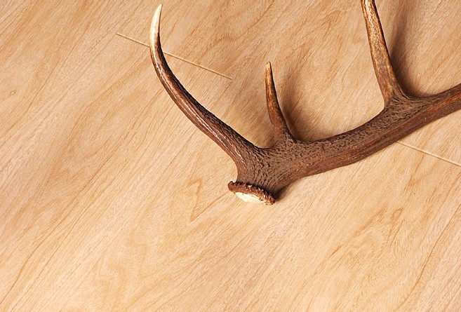 圣羅娜大河之舞系列—A6027