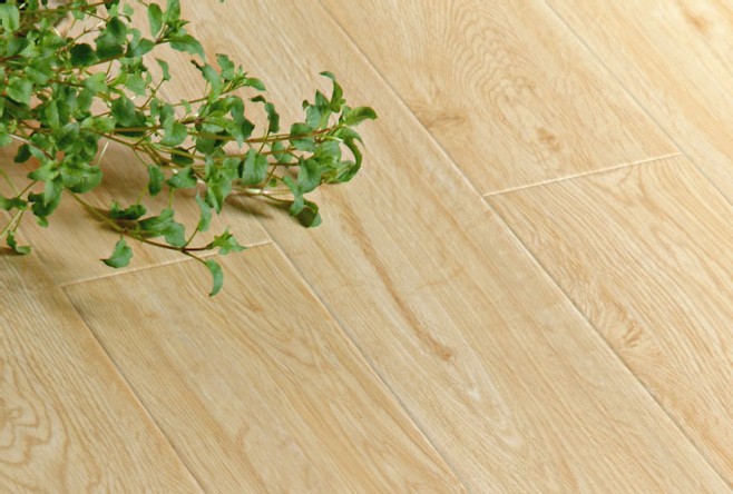 圣羅娜U型模壓系列—VM5004