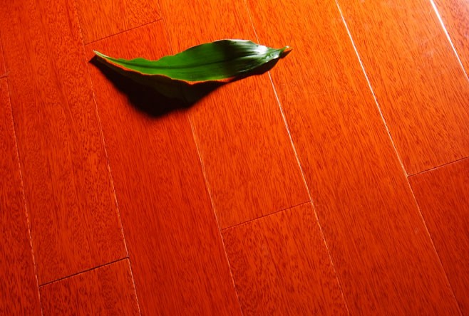 圣羅娜艾木奢華系列—冰糖果