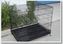 家禽籠雞籠兔籠鳥籠寵物籠