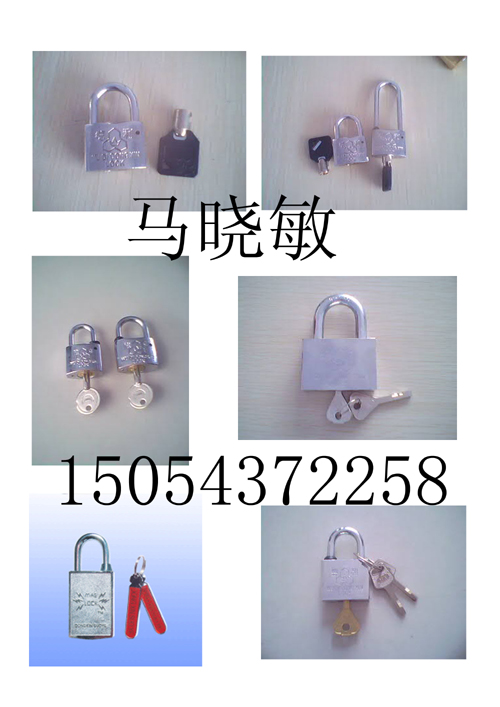 供應不銹鋼電表箱鎖