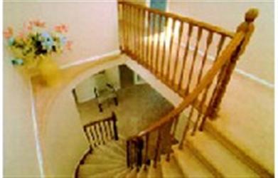 內墻漆，墻面漆，防霉漆，環保漆，墻面涂料