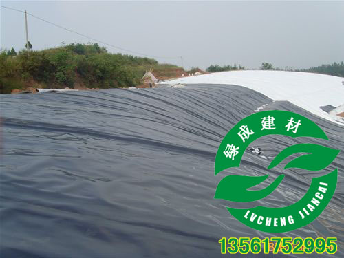沈陽HDPE土工膜