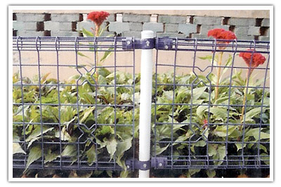 供應雙圈護欄網 建筑金屬網 河北護欄網