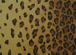 進口壁紙 美國純紙