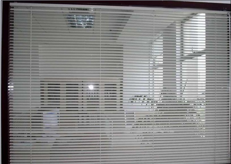 2009年10月，沈陽特變電工有限公司新辦公樓橫百葉工程