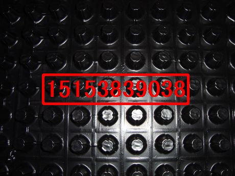 長(zhǎng)期供應(yīng)樓頂綠化所需排水板、蓄水板