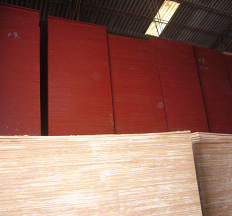 沈陽中盟鑫特木業