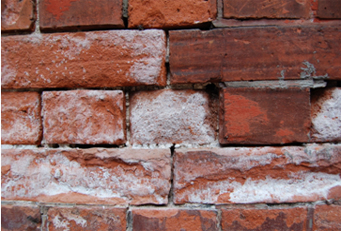 外墻磚泛堿怎么處理和預防