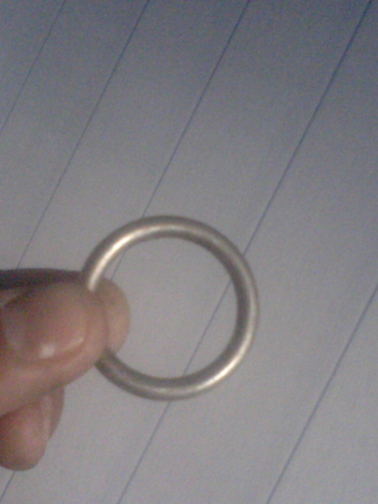 質(zhì)優(yōu)價廉供應(yīng)大連中臣不銹鋼圓環(huán)