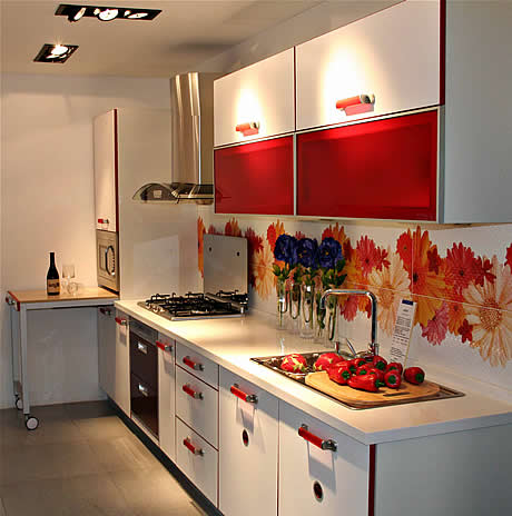 揚(yáng)子櫥柜3