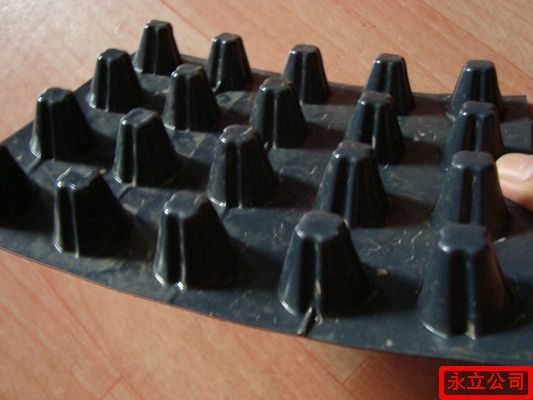 山東泰安排水板