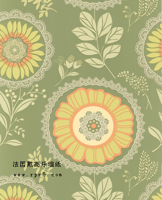 法國戴高樂壁紙裝飾墻景 營造前衛居室壁紙批發
