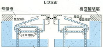 湖南L型橋梁伸縮縫 【低價、好質量】