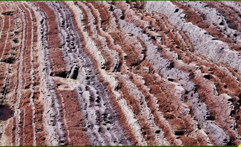 菱鎂仿真古化石內外墻裝飾板2