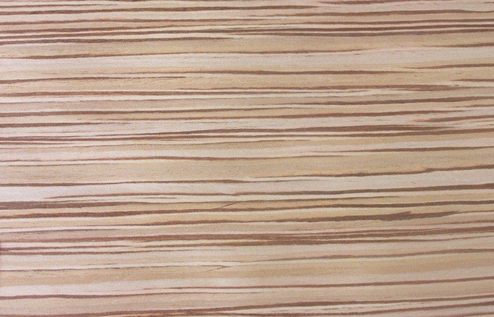 非洲大斑馬飾面板