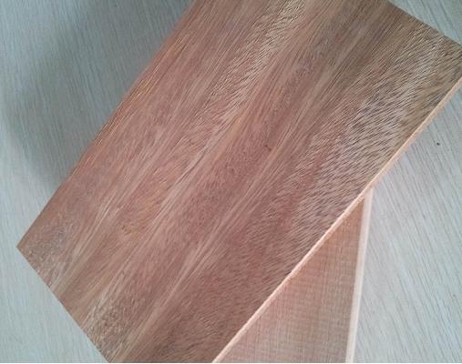 沈陽山樟木供應商，沈陽山樟木哪里的便宜