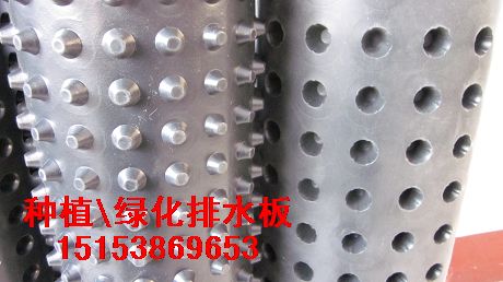 塑料排水板/防排水板材料/排水板價格