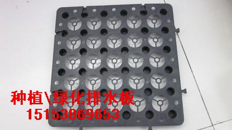 塑料排水板規(guī)格/種植排水板價格/綠化排水板規(guī)格