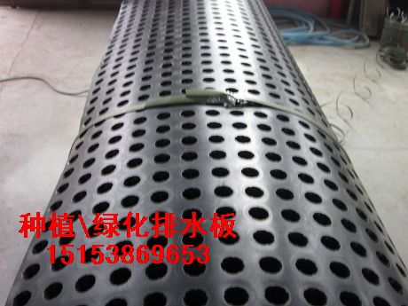 港澳臺聚乙烯排水板—塑料疏水板—HDPE排水板