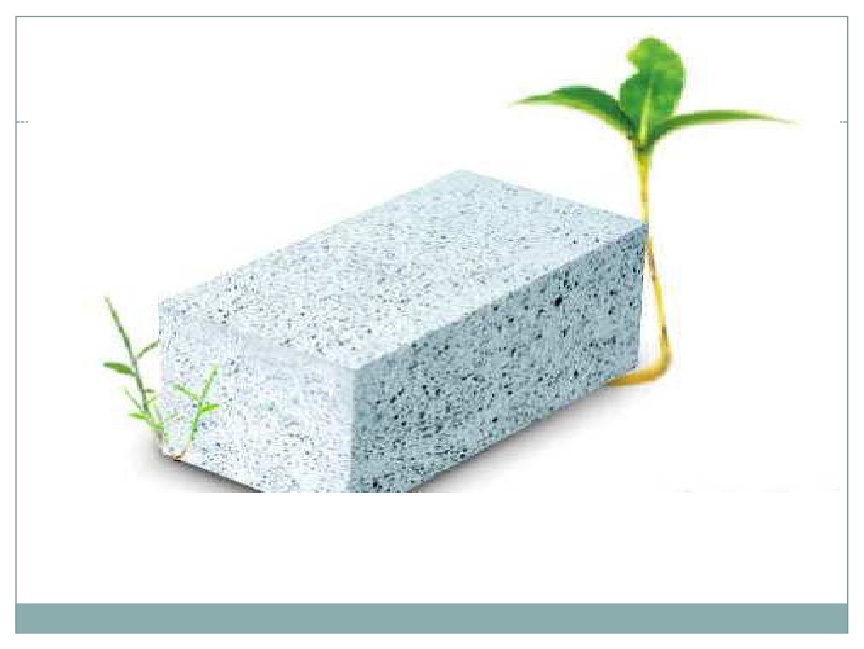 遼寧沈陽(yáng)蒸壓加氣混凝土砌塊