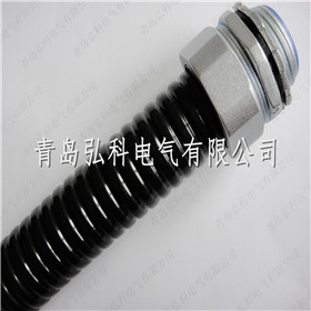 鍍鋅金屬軟管，鍍鋅蛇皮管廠家