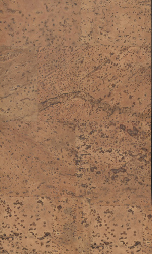 沈陽葡萄牙軟木鎖扣地板CF081039