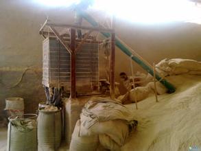 上海金山區木屑回收/金山鋸沐回收公司