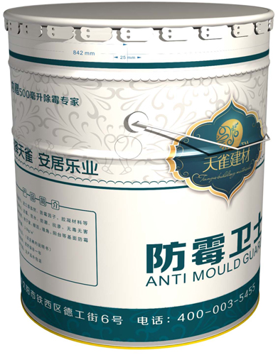 墻面除霉-防霉衛士