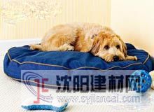 養(yǎng)寵物怕異味？就用硅藻泥！