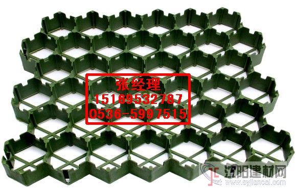 供應植草格/塑料植草板/聚乙烯植草格