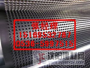 供應樓頂綠化排水板/車庫排水板/聚乙烯排水板