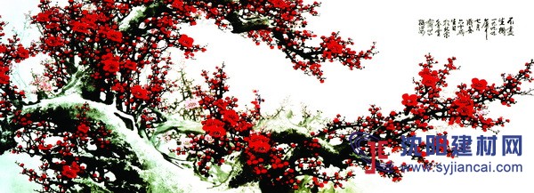 沈陽硅藻泥施工效果好，工人專業s選優特美筑！