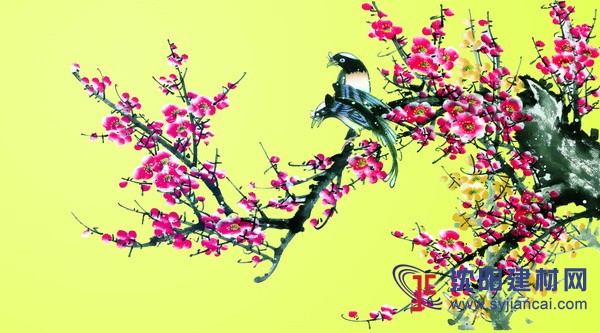 沈陽硅藻泥原料z好的廠家，s選優特美筑！