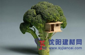 克洛斯威“零醛日” 締造“健康美學”生活