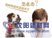 寵物異味怎么破？硅藻泥為您趕走“它”