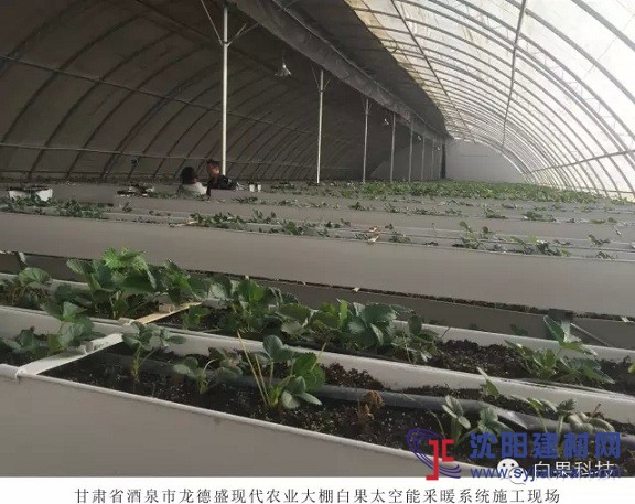 白果太空能大棚采暖系統走進甘肅酒泉
