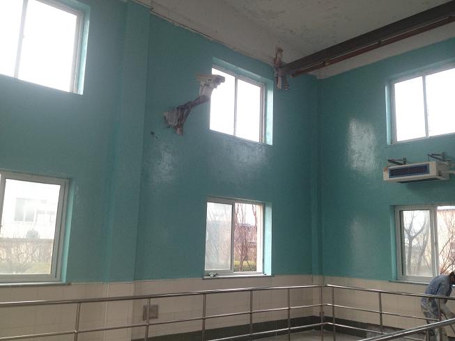 瓦房店龍山污水廠墻面地面防腐防水防護涂料