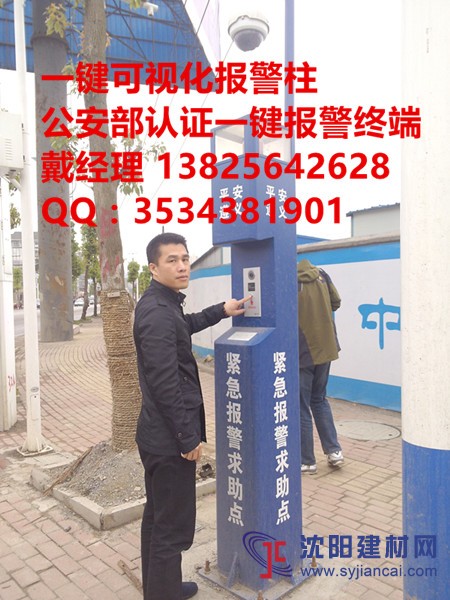 西藏一鍵可視化報警系統