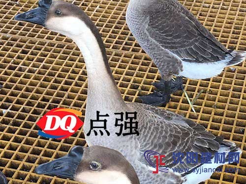 養殖專用格柵批發-嘉峪關玻璃鋼生產廠家