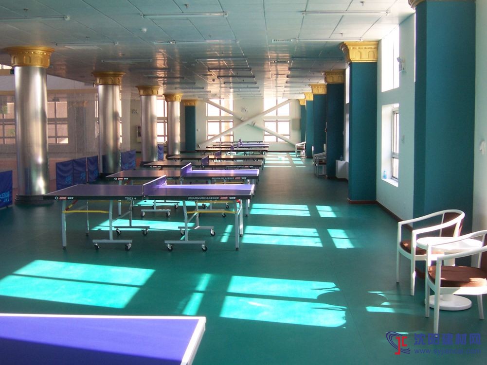 乒乓球?qū)Ｓ玫啬z，乒乓球塑膠地板