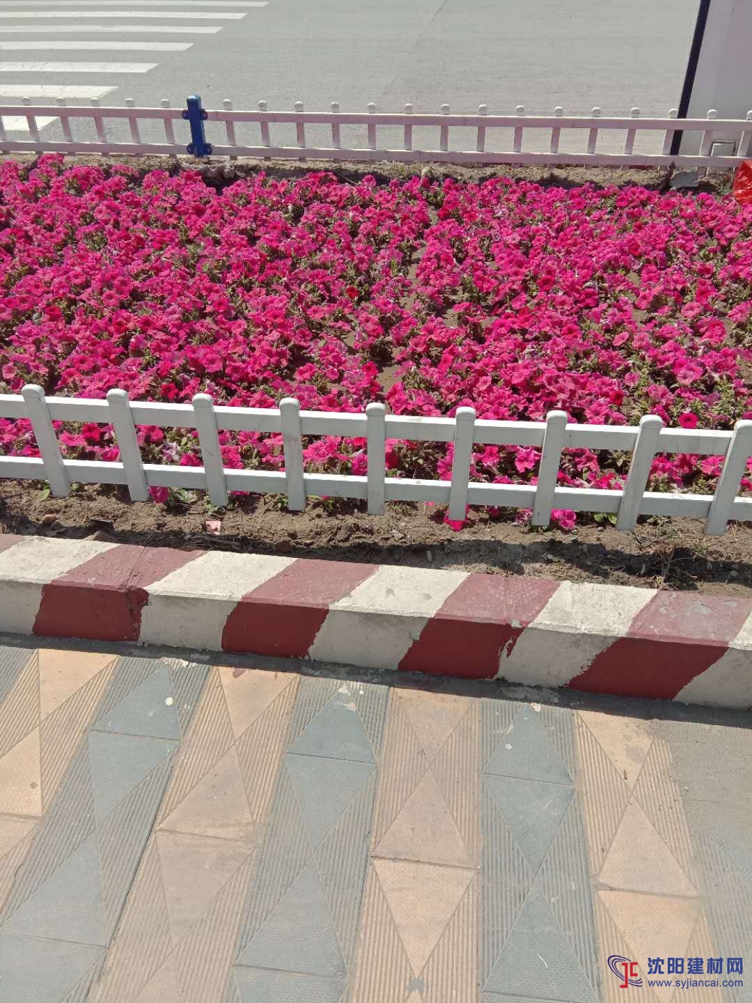 pvc花壇護欄A皇姑pvc花壇護欄實體廠家