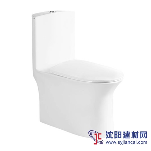 馬桶，智能馬桶，電腦坐便器，智能馬桶蓋