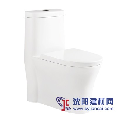 直沖式坐便器，連體坐便器，大便器