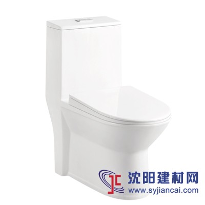 虹吸式坐便器，超漩式坐便器，直沖式坐便器，連體坐便