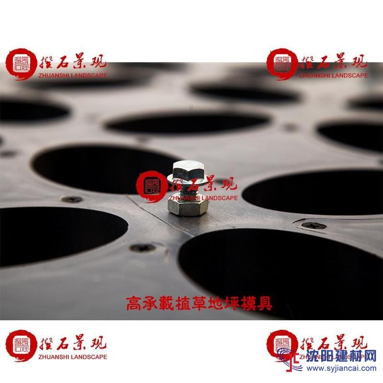 朝陽(yáng)植草地坪模具廠家直供 江蘇撰石景觀